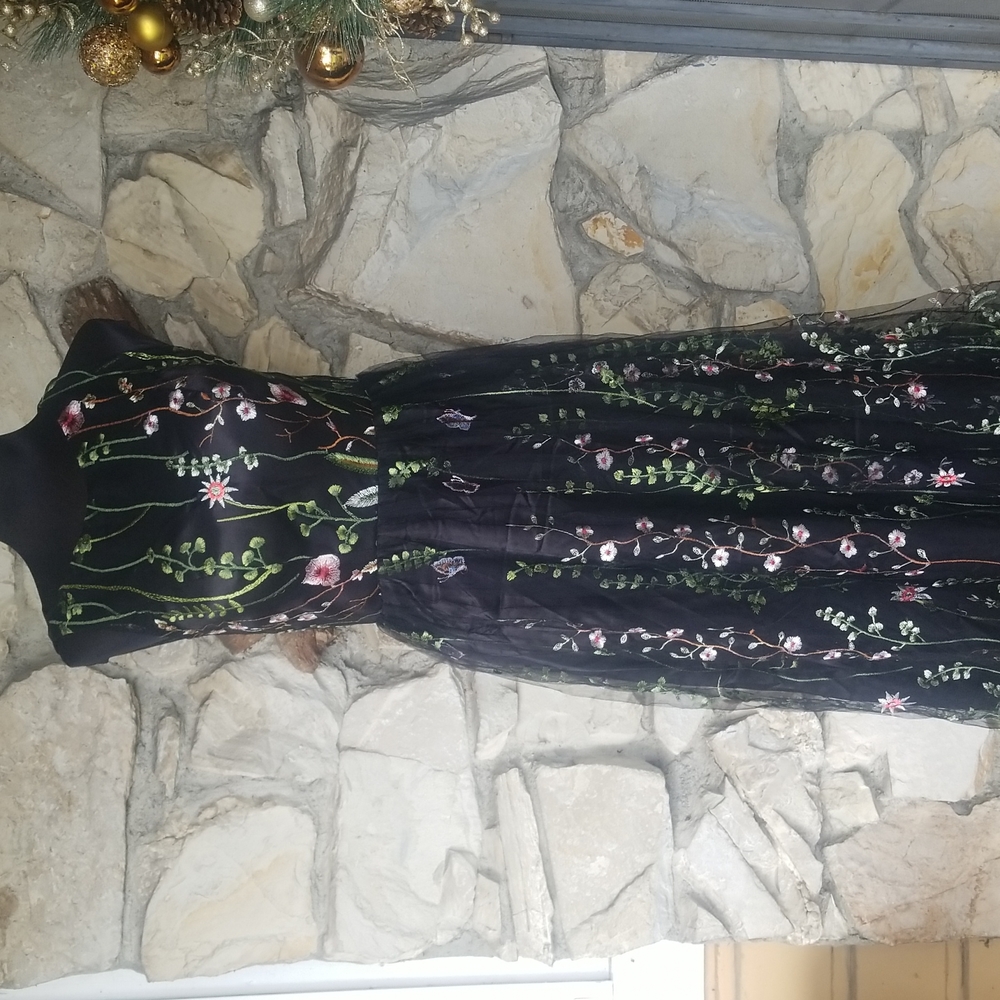 💙Black sheer embroidered dress - Picture 3 of 16